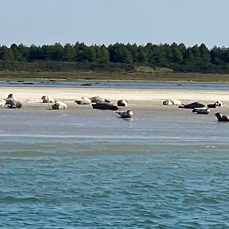 P'tit Somme En Baie
